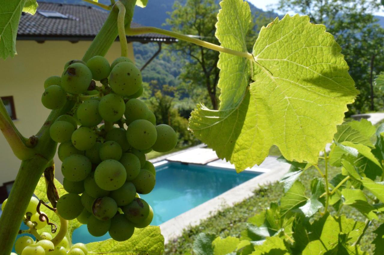 Holiday Home Jelovcerjeva Idrija pri Baci Exteriér fotografie